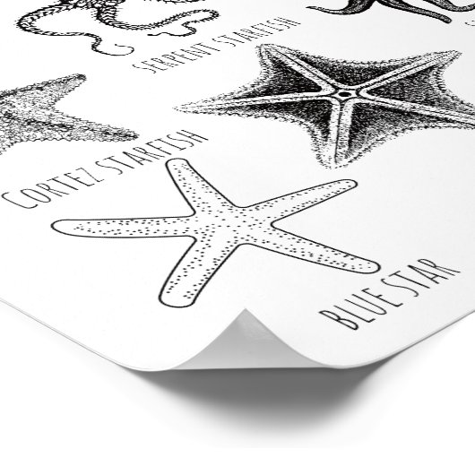 Ken uw Zee sterren - Starvisgroepen Poster (Hoek)