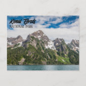 Kenai Fjords Nationaal Park Landschap Briefkaart (Voorkant)