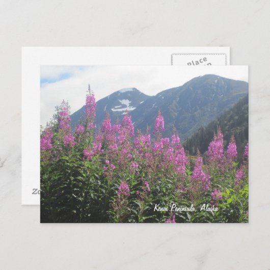 Kenai Peninsula, Alaska Briefkaart (Voorkant / Achterkant)