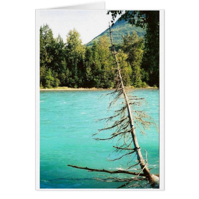 Kenai River Blue (Voorkant)