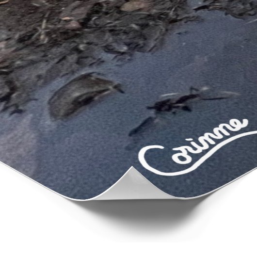 Kenai River - Poster (Hoek)