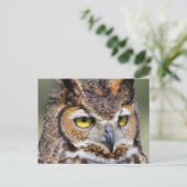 Kendall County, Texas Grote paarden Briefkaart (Staand voorkant)