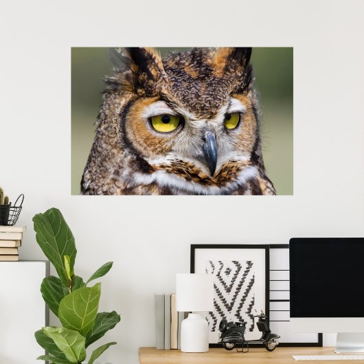 Kendall County, Texas Grote paarden Poster (Thuiskantoor)