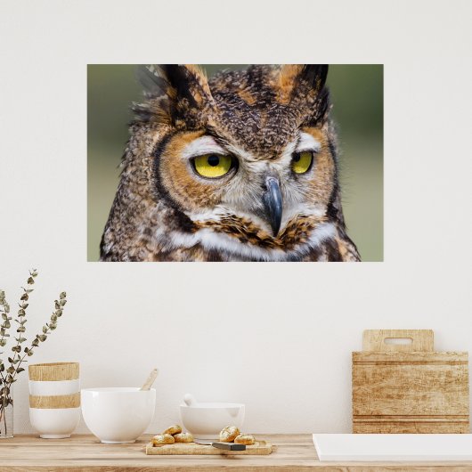 Kendall County, Texas Grote paarden Poster (Keuken)