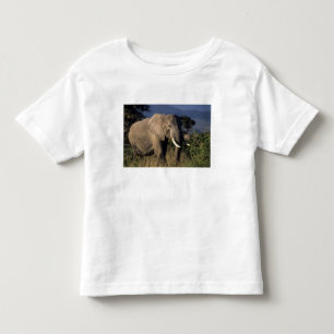 Kenia: Amboseli, mannelijke Afrikaanse olifant Kinder Shirts