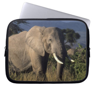 Kenia: Amboseli, mannelijke Afrikaanse olifant Laptop Sleeve