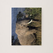 Kenia: Amboseli, mannelijke Afrikaanse olifant Legpuzzel (Verticaal)