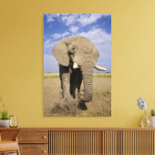 Kenia: Amboseli National Park, alfabet Canvas Afdruk (Insitu (Woonkamer))