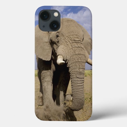 Kenia: Amboseli National Park, alfabet Case-Mate iPhone Case (Achterkant)