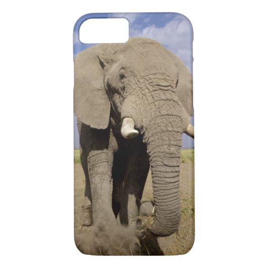 Kenia: Amboseli National Park, alfabet Case-Mate iPhone Case (Achterkant)