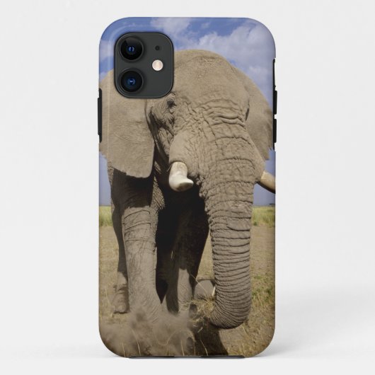 Kenia: Amboseli National Park, alfabet Case-Mate iPhone Case (Achterkant)