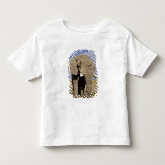 Kenia: Amboseli National Park, alfabet Kinder Shirts (Voorkant)