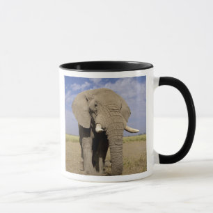 Kenia: Amboseli National Park, alfabet Mok