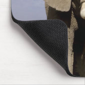 Kenia: Amboseli National Park, alfabet Muismat (Hoek)