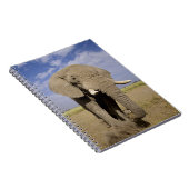 Kenia: Amboseli National Park, alfabet Notitieboek (Rechterzijde)