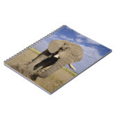 Kenia: Amboseli National Park, alfabet Notitieboek (Linkerzijde)