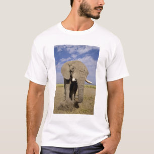 Kenia: Amboseli National Park, alfabet T-shirt