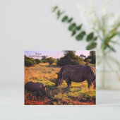 Kenia Briefkaart (Staand voorkant)