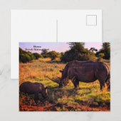 Kenia Briefkaart (Voorkant / Achterkant)