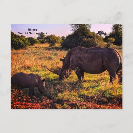 Kenia Briefkaart (Voorkant)