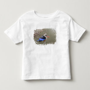 Kenia. Close-up van grijskopijsvogel Kinder Shirts