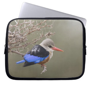 Kenia. Close-up van grijskopijsvogel Laptop Sleeve