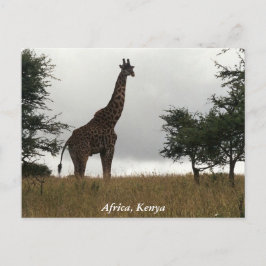 Kenia giraffe in het wild briefkaart