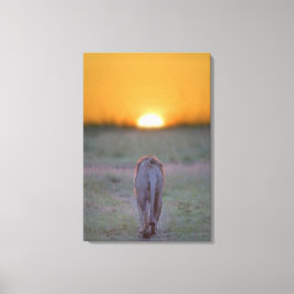 Kenia, Masai Mara 2 Canvas Afdruk