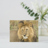 Kenia Masai Mara Briefkaart (Staand voorkant)