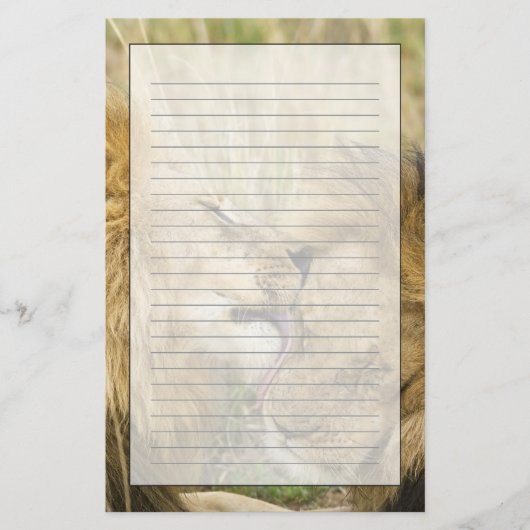 Kenia, Masai Mara Briefpapier (Voorkant)