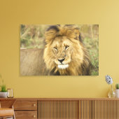 Kenia Masai Mara Canvas Afdruk (Insitu (Woonkamer))