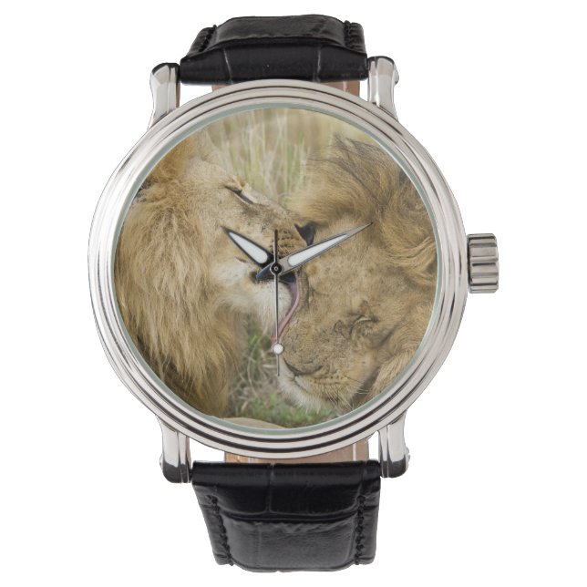 Kenia, Masai Mara Horloge (Voorkant)