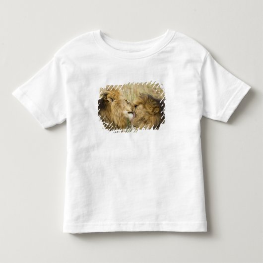 Kenia, Masai Mara Kinder Shirts (Voorkant)