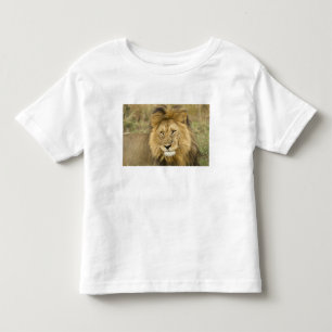 Kenia Masai Mara Kinder Shirts