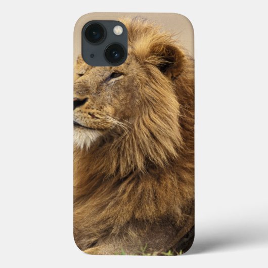 Kenia, Masai Mara | Leeuw Case-Mate iPhone Case (Achterkant)