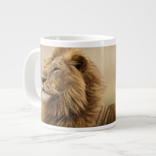 Kenia, Masai Mara Leeuw Grote Koffiekop