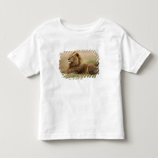 Kenia, Masai Mara | Leeuw Kinder Shirts (Voorkant)