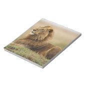 Kenia, Masai Mara | Leeuw Notitieblok (Linkerzijde)