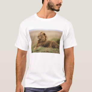 Kenia, Masai Mara Leeuw T-shirt