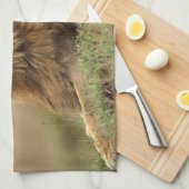 Kenia, Masai Mara | Leeuw Theedoek (Quarter Fold)