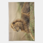 Kenia, Masai Mara | Leeuw Theedoek (Verticaal)
