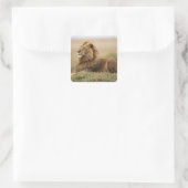 Kenia, Masai Mara | Leeuw Vierkante Sticker (Tas)