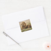 Kenia, Masai Mara | Leeuw Vierkante Sticker (Envelop)