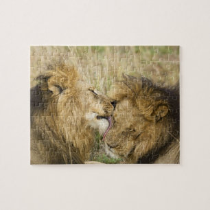 Kenia, Masai Mara Legpuzzel