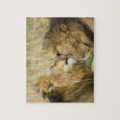 Kenia, Masai Mara Legpuzzel (Verticaal)