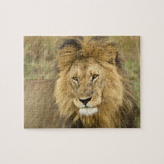 Kenia Masai Mara Legpuzzel (Horizontaal)
