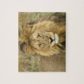 Kenia Masai Mara Legpuzzel (Verticaal)