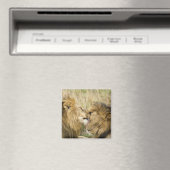 Kenia, Masai Mara Magneet (Insitu (Vaatwasser))