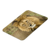 Kenia Masai Mara Magneet (Linkerzijde)