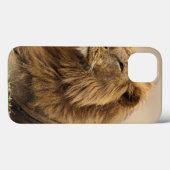 Kenia, Masai Mara | Mannelijke leeuw Case-Mate iPhone Case (Achterkant (horizontaal))